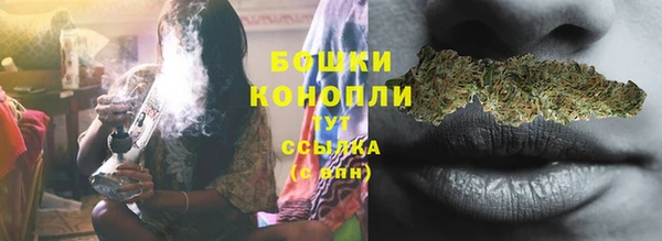шишки Костерёво