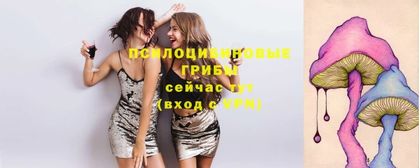 крисы Красноперекопск