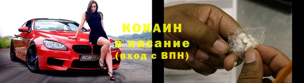 шишки Костерёво