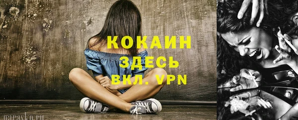 шишки Костерёво