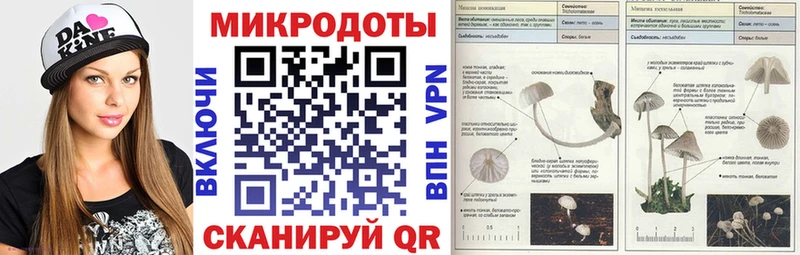 ссылка на мегу онион  Михайловка  Галлюциногенные грибы мухоморы  купить наркоту 