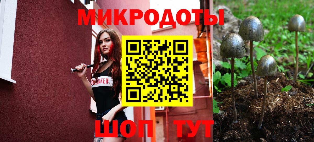 Галлюциногенные грибы GOLDEN TEACHER  Псилоцибиновые грибы Cubensis  Михайловка 